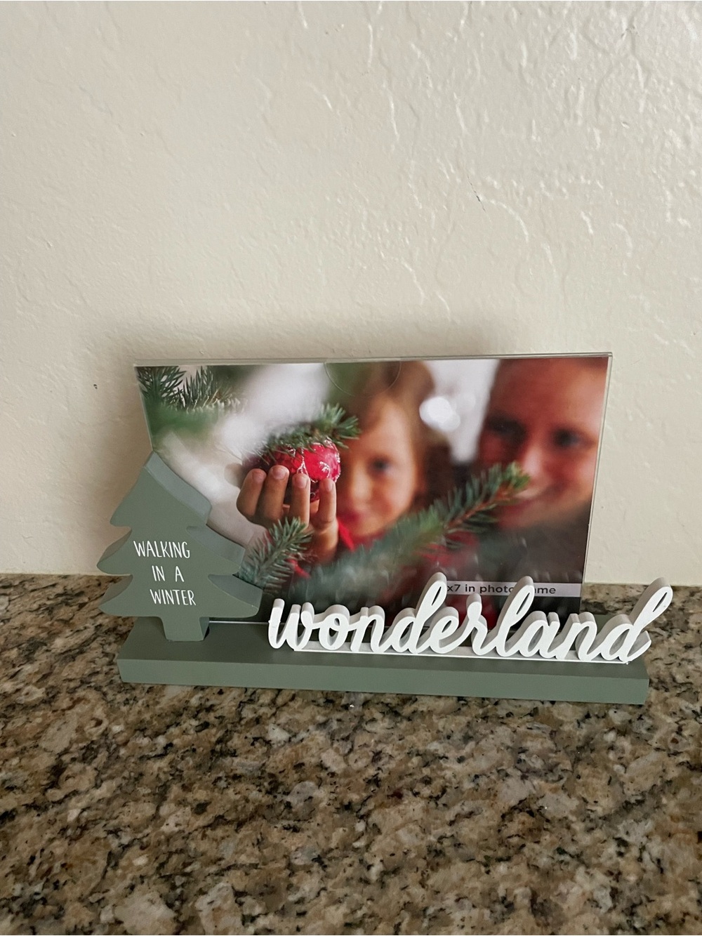 Wonderland Holiday Picture Frame - Green